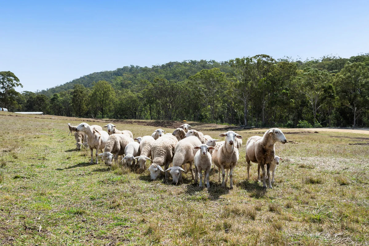 Additional image 13 of 38/262 Hendrie Road, Upper Pilton QLD 4361
