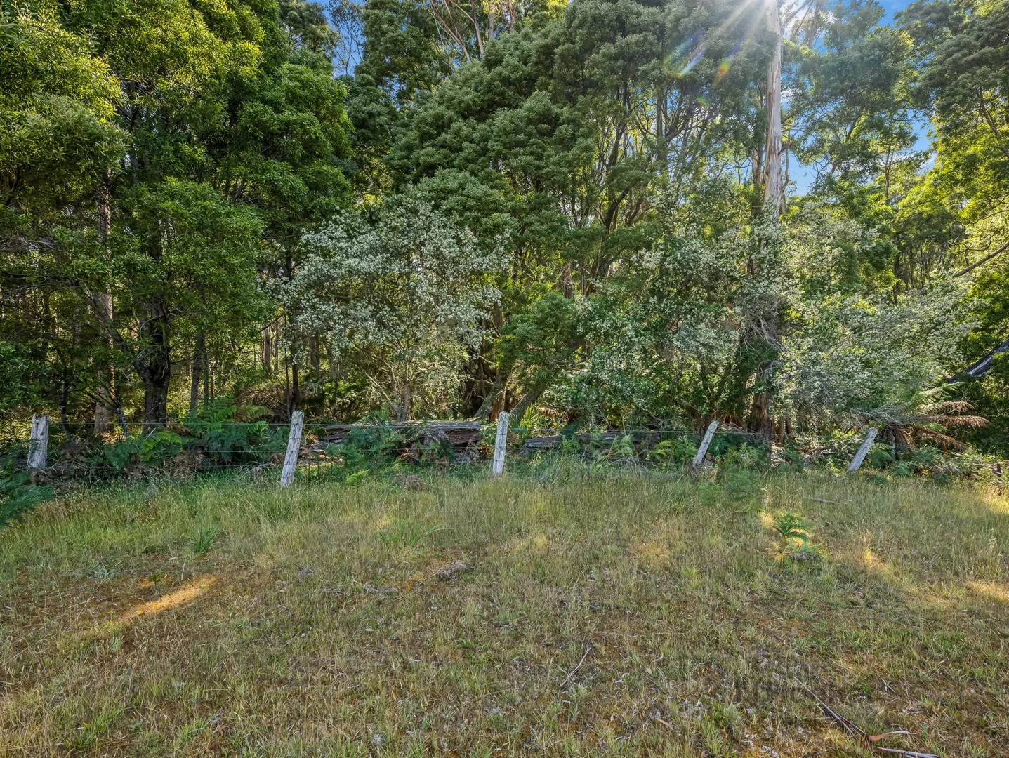 Additional image 16 of 96 Terrys Hill Road, Goshen TAS 7216