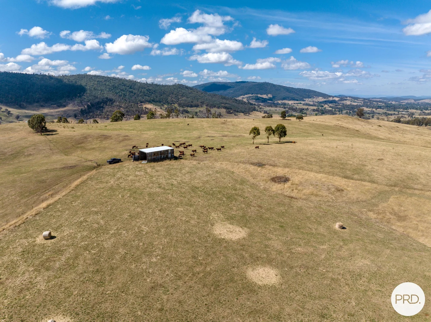 Additional image 2 of 1100 Batlow Road, Tumbarumba NSW 2653