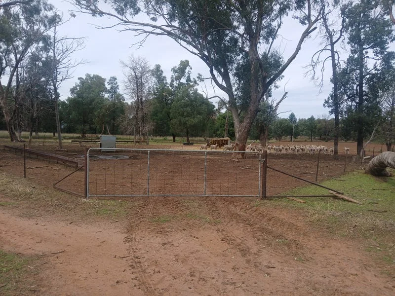 Additional image 3 of Tooraweenah NSW 2817