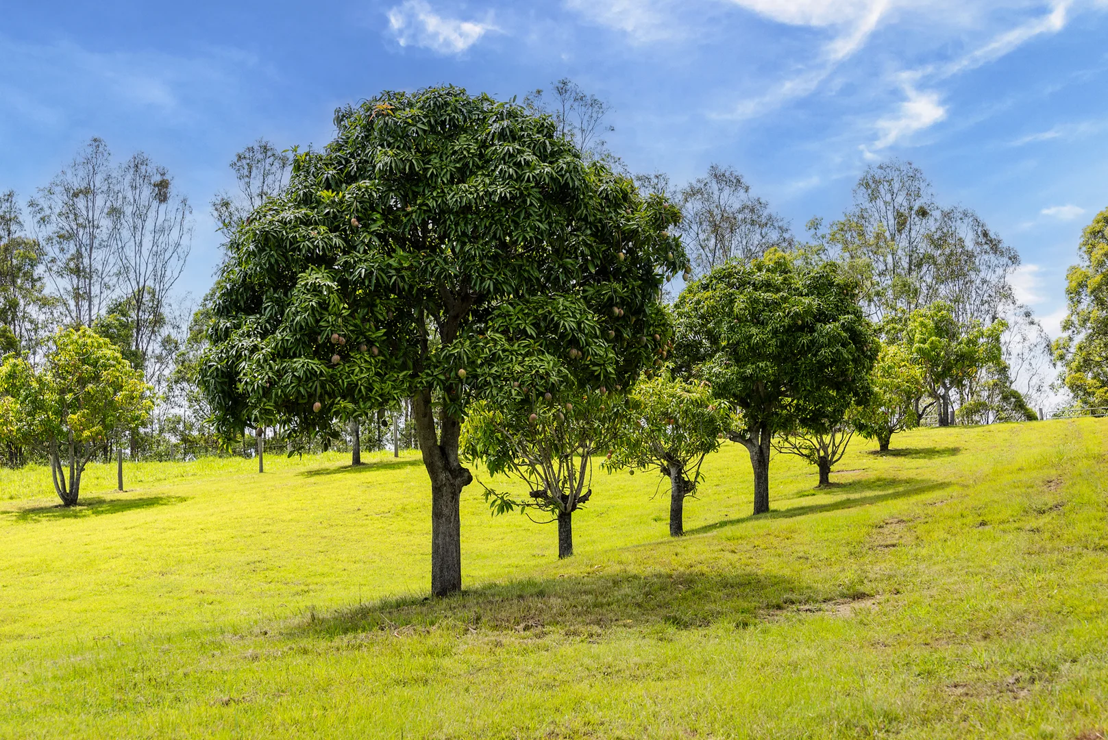 Additional image 12 of 240 Keefton Road, Woondum QLD 4570