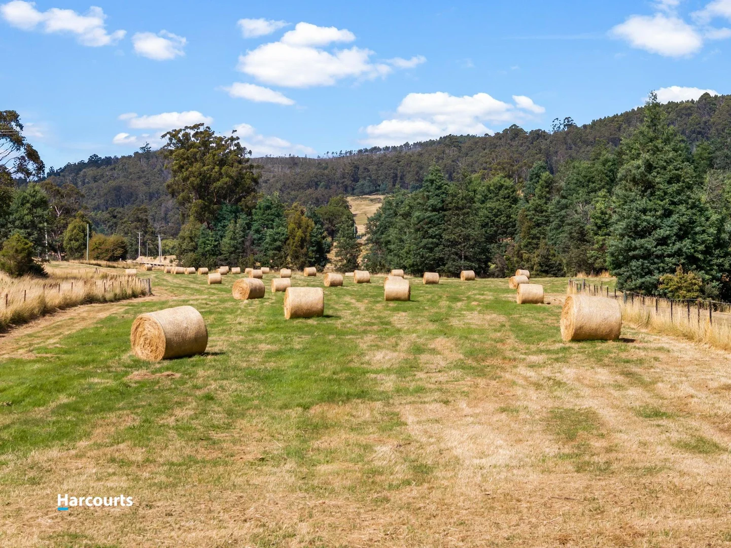 Additional image 9 of Lot 1 Rileys Creek Road, Geeveston TAS 7116