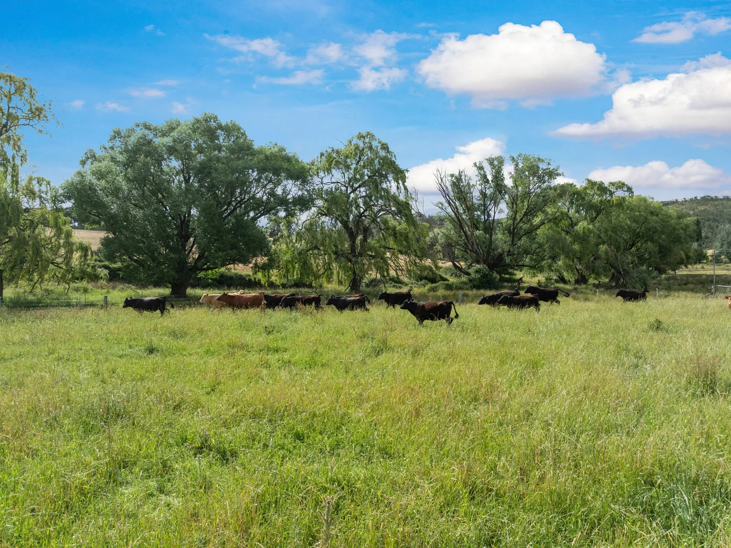 Additional image 19 of 2025 Rugby Road, Frogmore Via, Boorowa NSW 2586