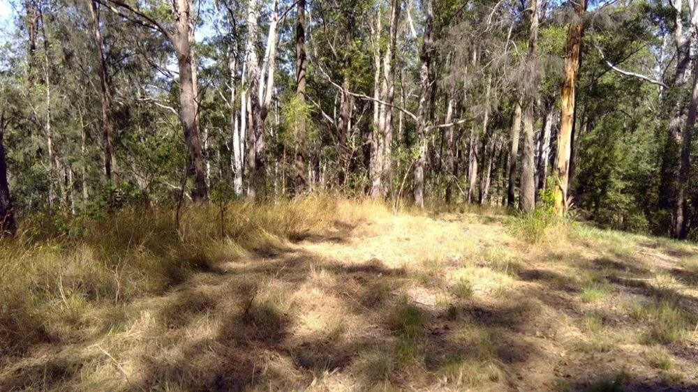 Additional image 9 of 622A Simpson Ridge Road, South Arm NSW 2449