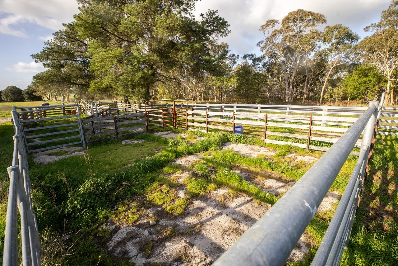 Additional image 33 of 546 Bool Lagoon West Road, Penola SA 5277