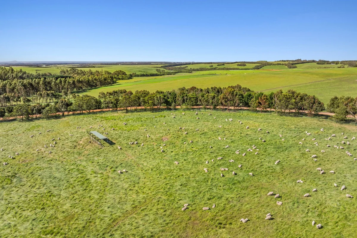 Additional image 25 of 65 Coalmine Road, Winchelsea VIC 3241