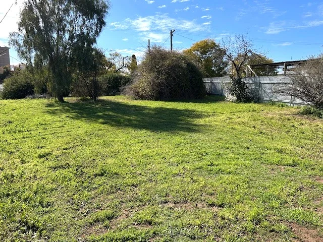 Additional image 23 of 20 Blair Street, Donald VIC 3480