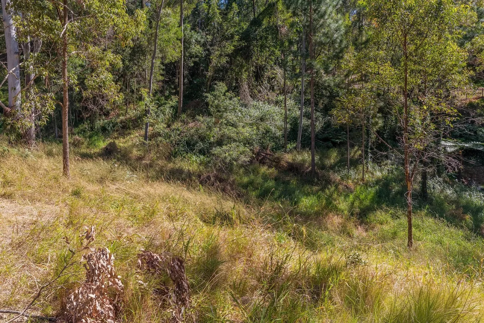 Additional image 8 of 612-618 Henri Robert Drive, Tamborine Mountain QLD 4272