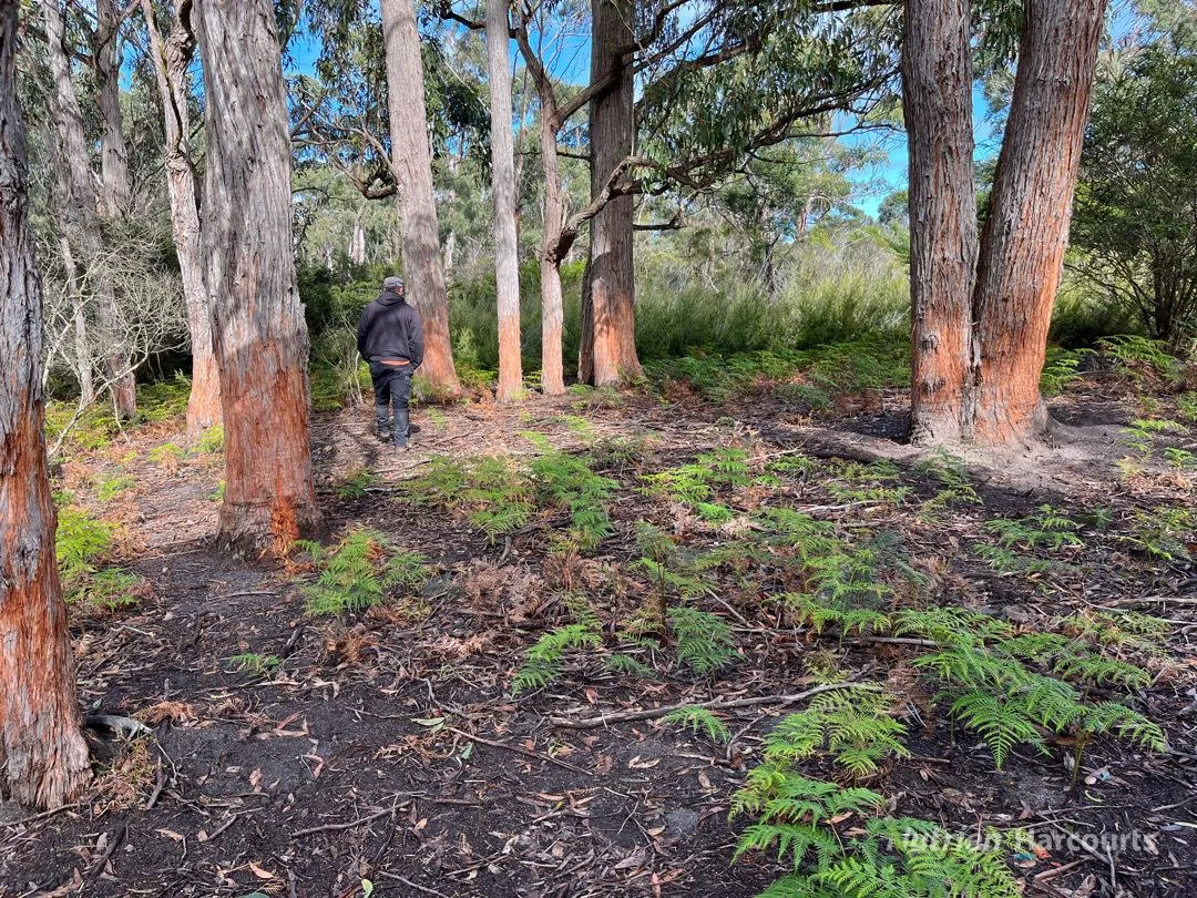 Additional image 7 of . South Gippsland Highway, Woodside VIC 3874