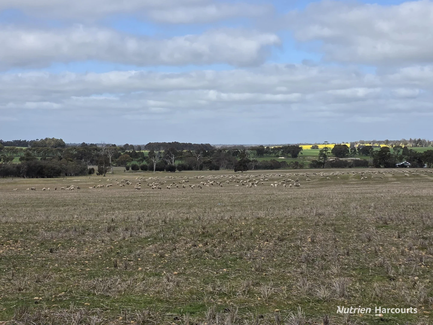 Additional image 32 of Lot 347 Yarralena Road, Cranbrook WA 6321