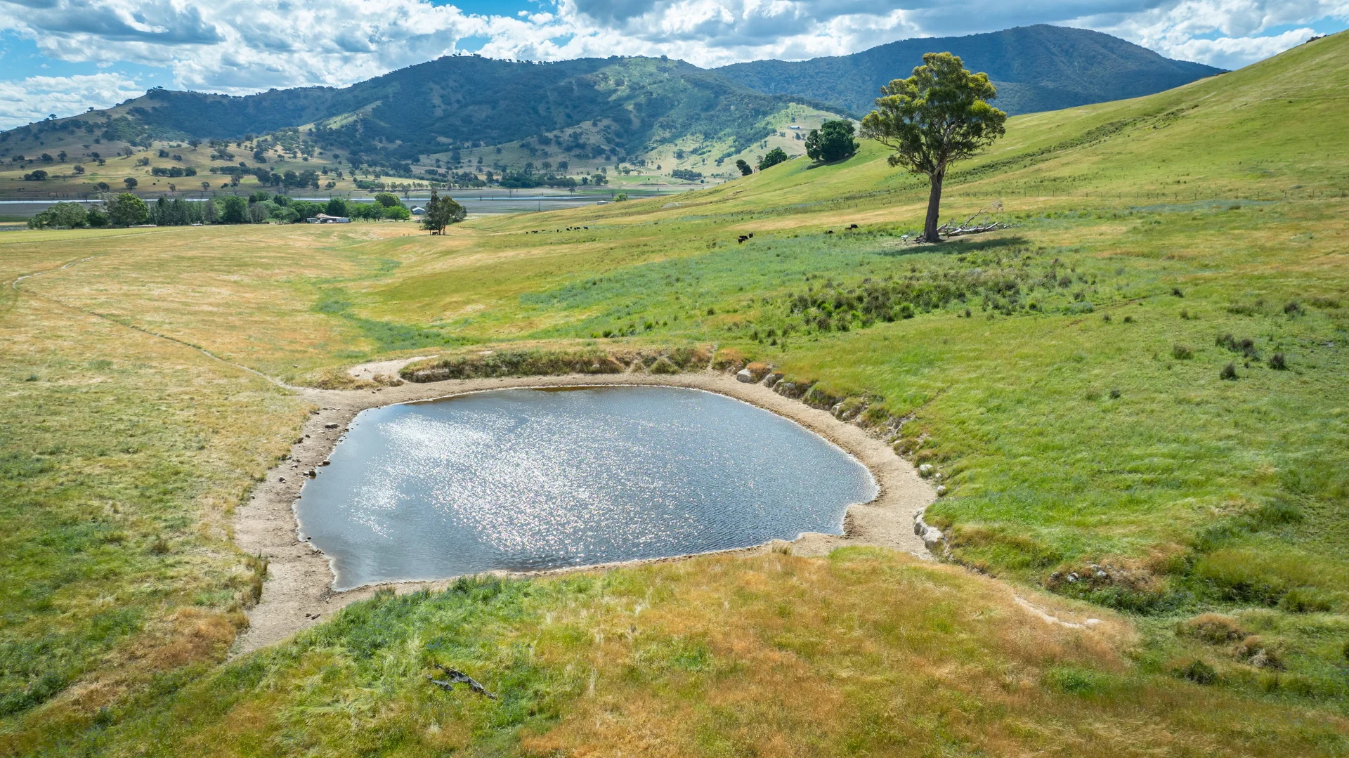 Additional image 26 of 4118 Murray River Road, Thologolong VIC 3691