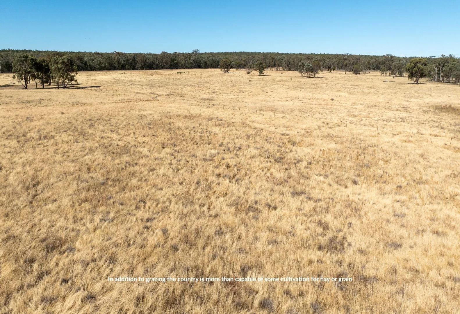 Additional image 17 of 'YLO', 24 Windus Road, Gumble NSW 2865