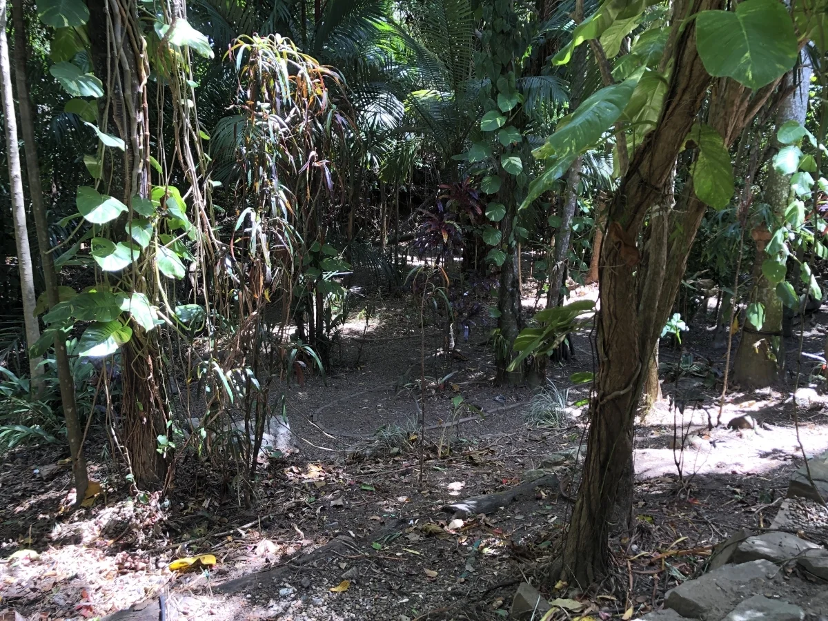 Additional image 43 of 34 Savage St, Cooktown QLD 4895