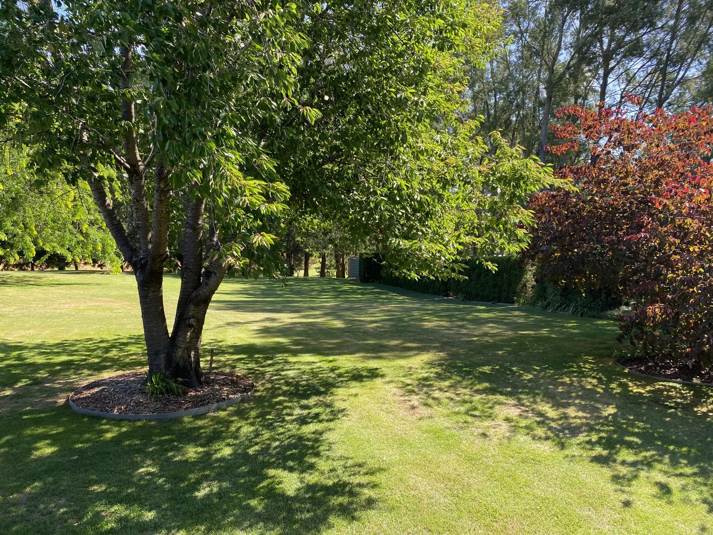 Additional image 6 of 33 Phillip Street, Burradoo NSW 2576