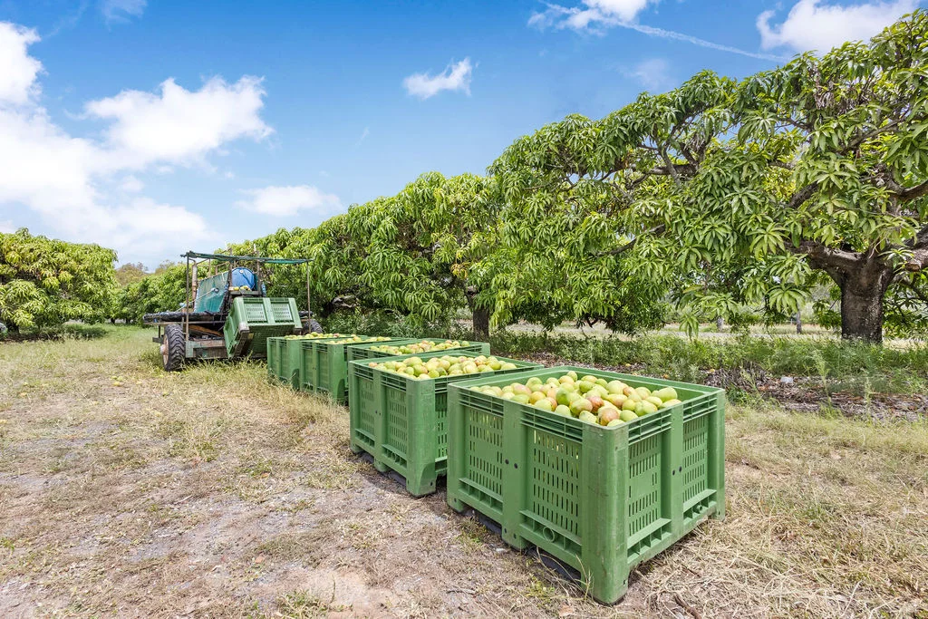 Additional image 27 of 1151 Leafgold Weir Road, Dimbulah QLD 4872