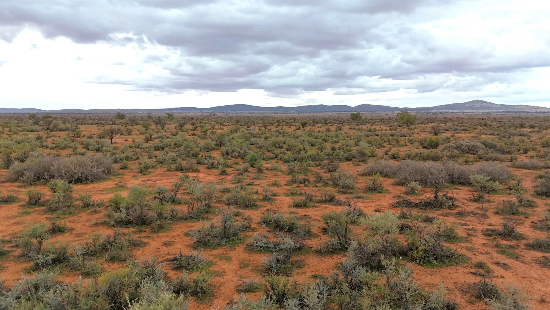 Additional image 6 of 'Acacia Ridge' 511 Tapscott Rd, Orroroo SA 5431