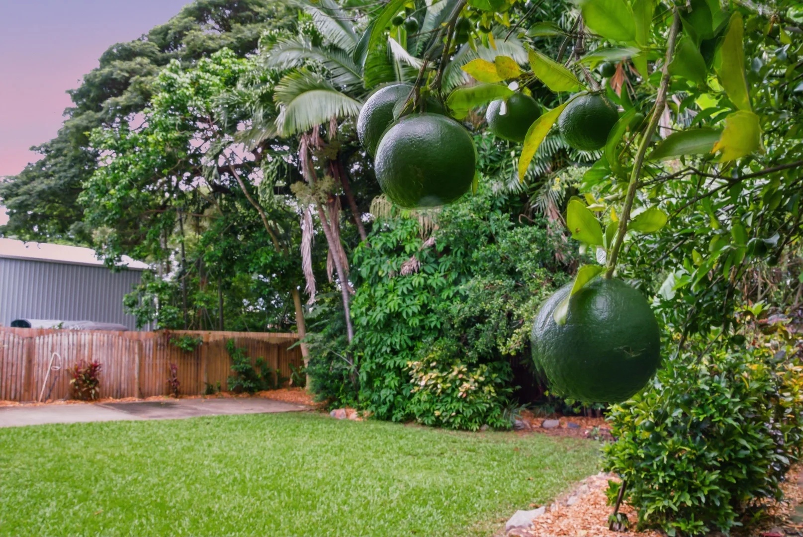 Additional image 31 of 34 Wellington Street, Mundingburra QLD 4812