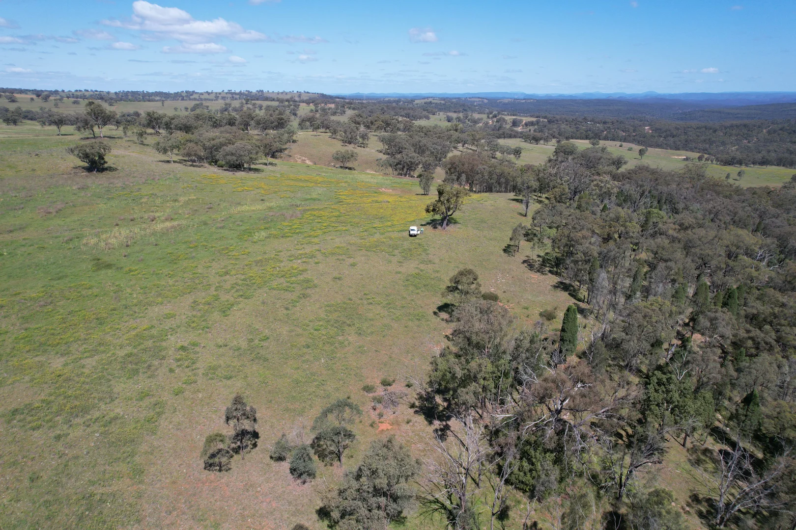 Additional image 3 of Merriwa NSW 2329