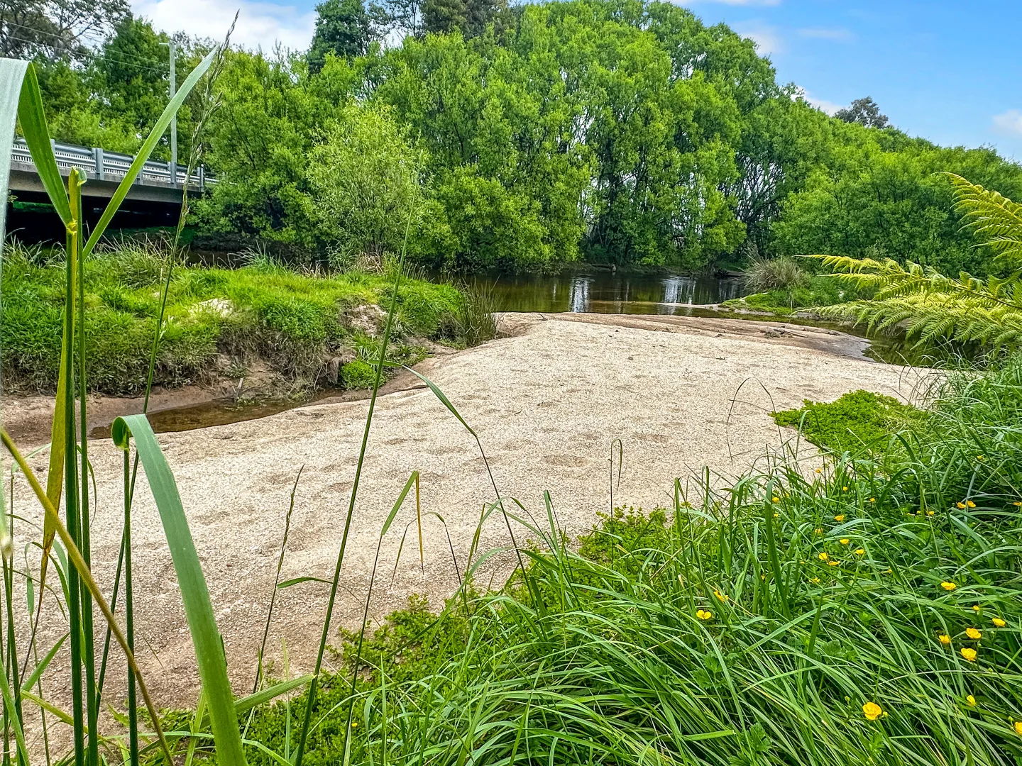 Additional image 15 of Lot 1 Binalong Bay Road, St Helens TAS 7216