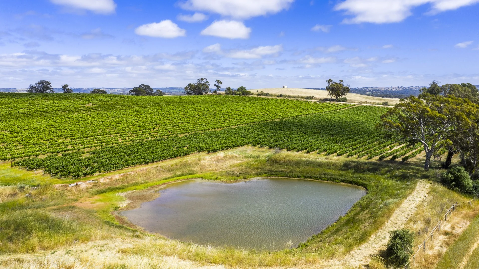 Additional image 7 of 178 Jutland Road, Springton SA 5235