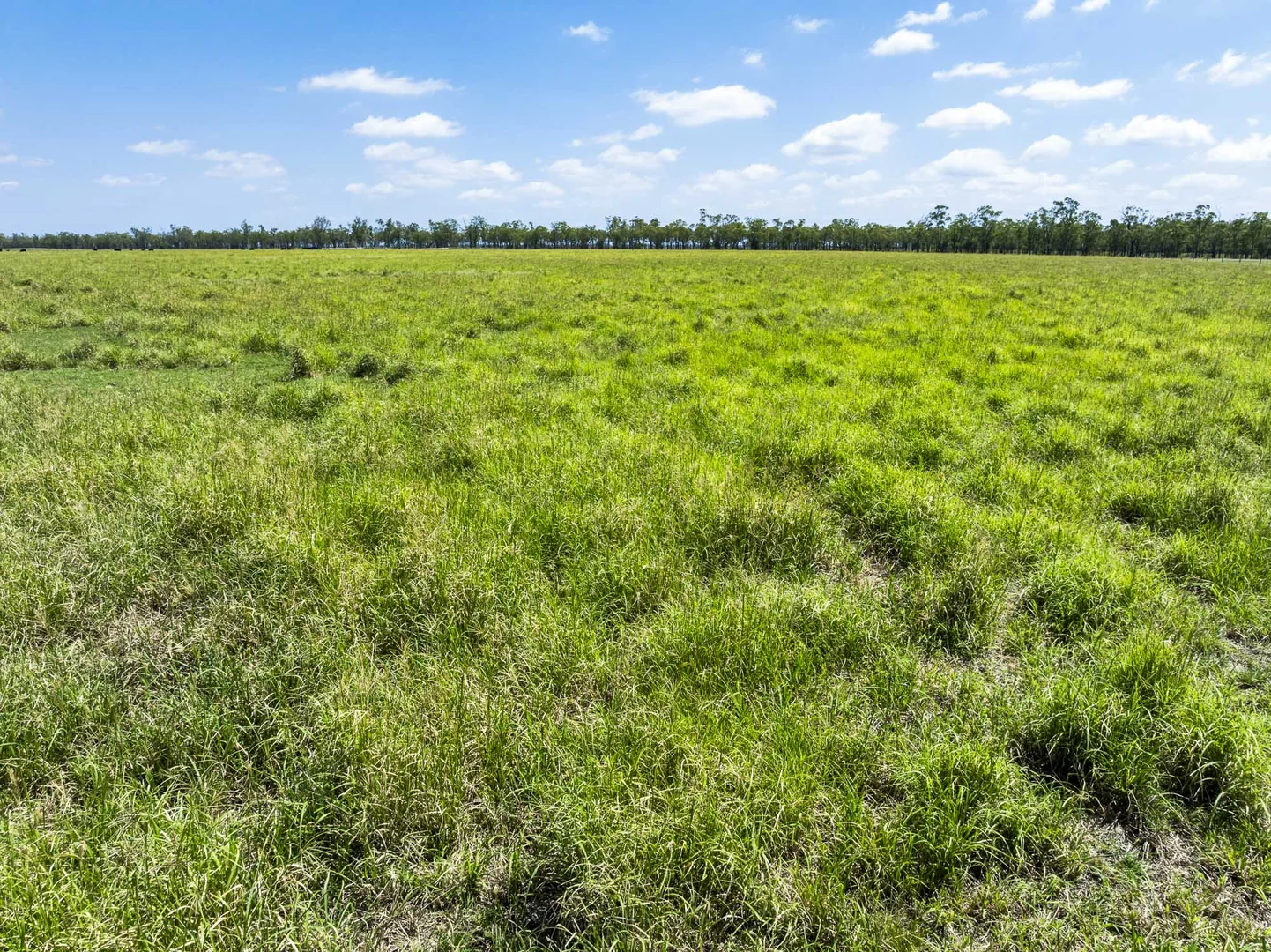 Additional image 32 of 2001 Millmerran Cecil Plains Road, Millmerran QLD 4357