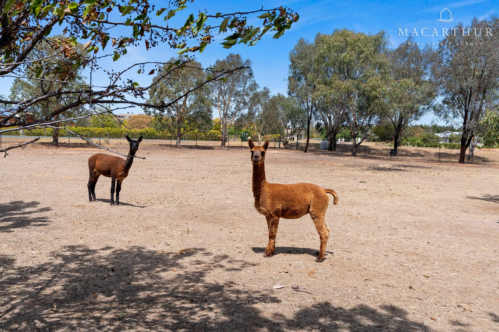 Additional image 26 of 6 Peppermint Drive, Springvale NSW 2650