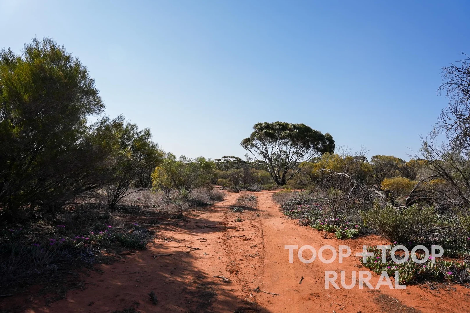 Additional image 7 of 1265 Warnecke Road, Monash SA 5342