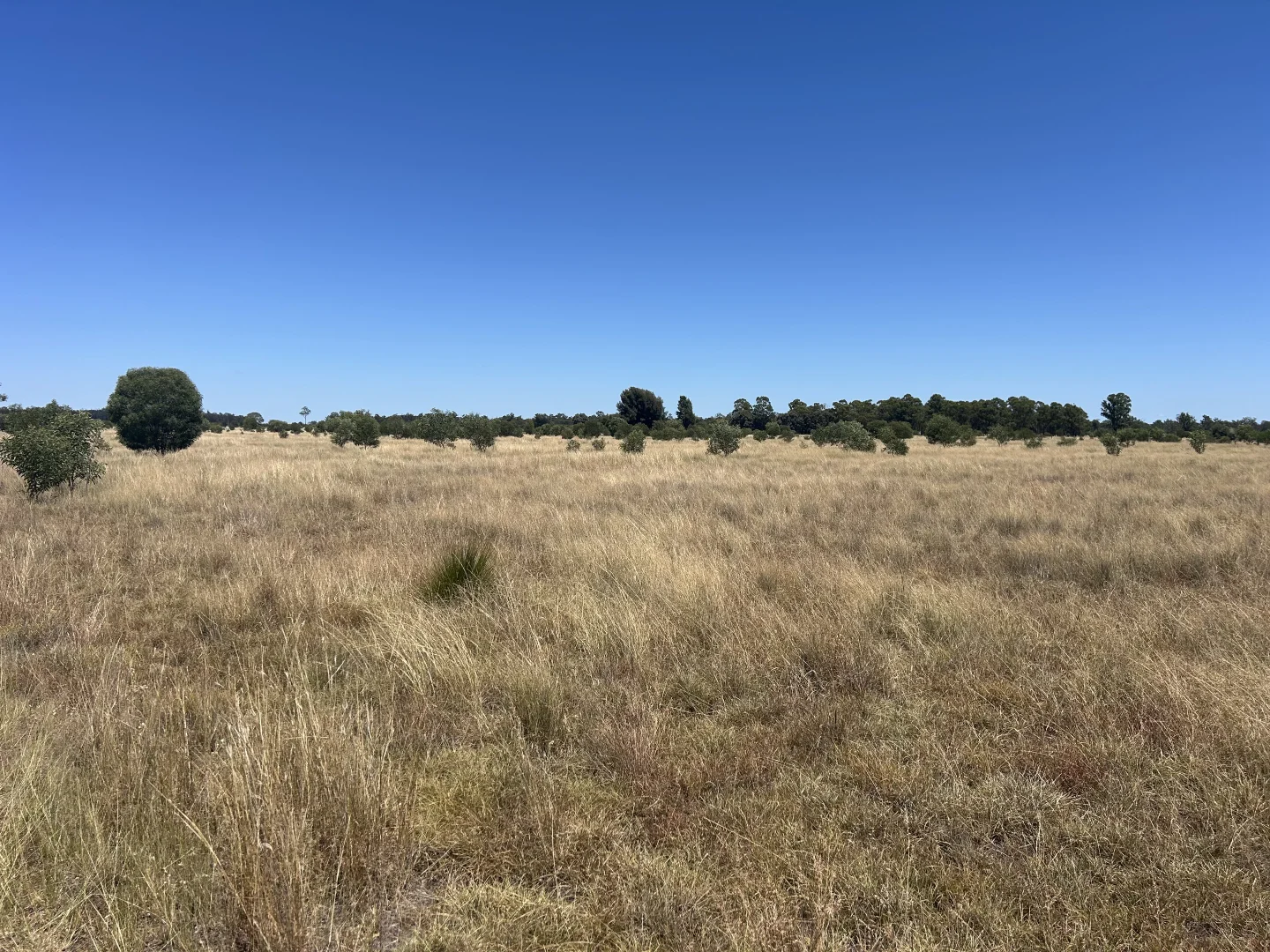 Additional image 20 of Lot 4 Chinchilla-Tara Rd, Wieambilla QLD 4413