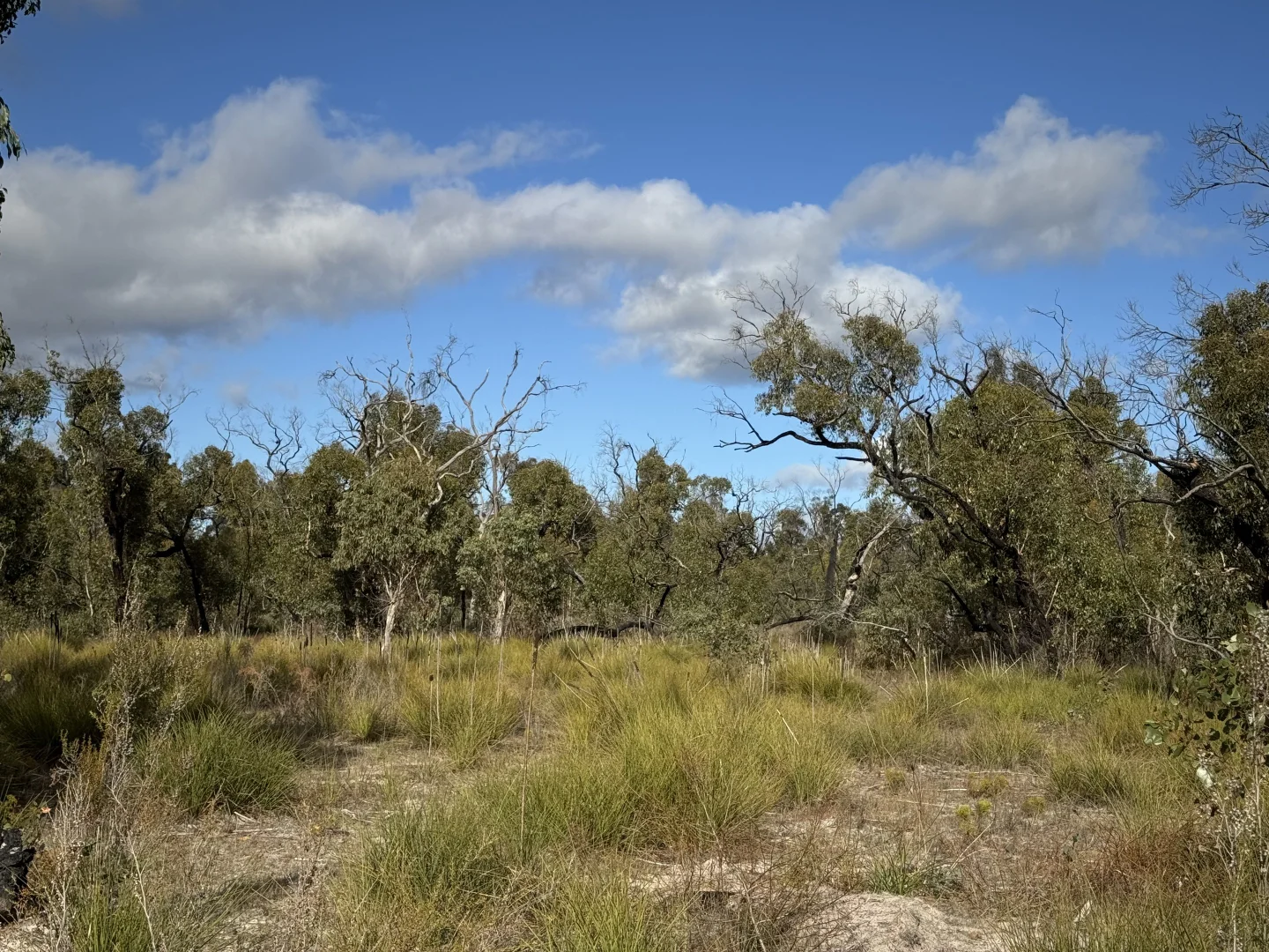 Additional image 14 of 62B Poolaigelo Lane, Poolaijelo VIC 3312