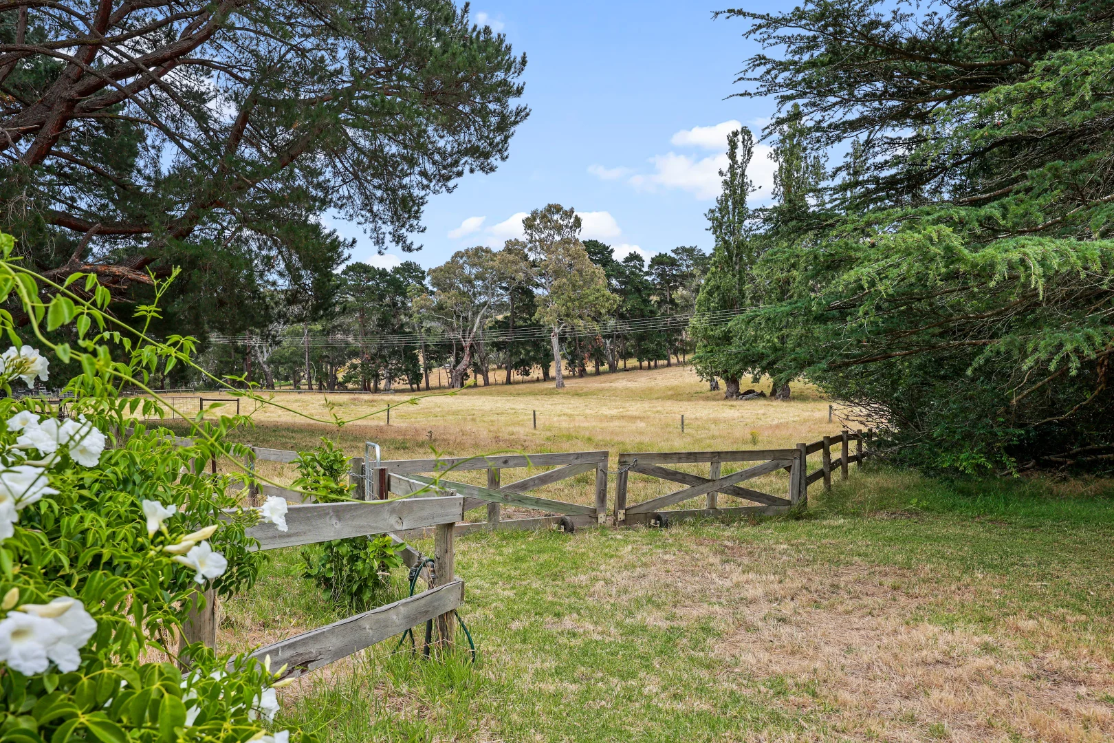 Additional image 42 of 203 Nettle Hill Road, Hindmarsh Valley SA 5211