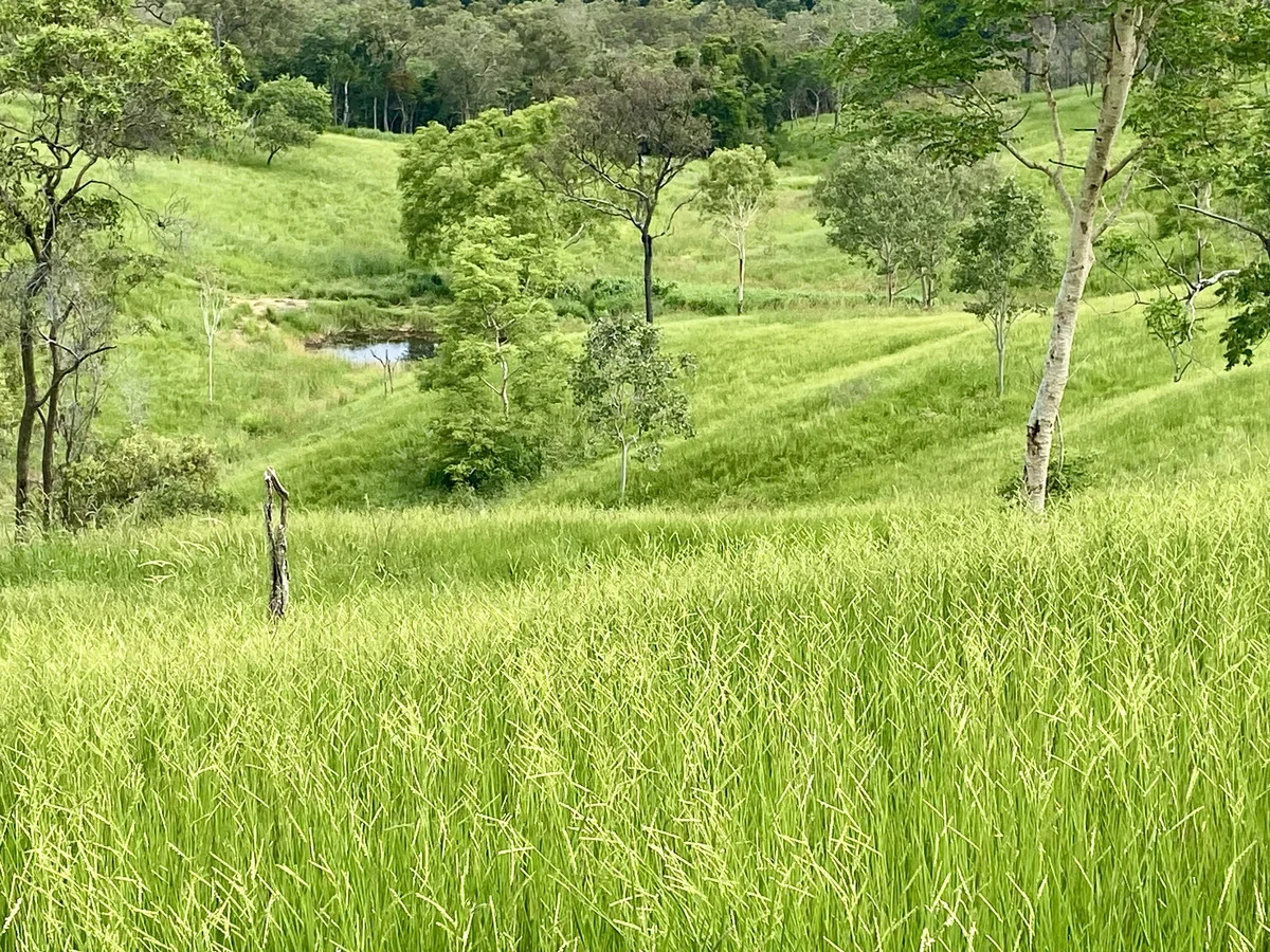 Additional image 14 of 558 Marlborough-Sarina Road, Sarina QLD 4737