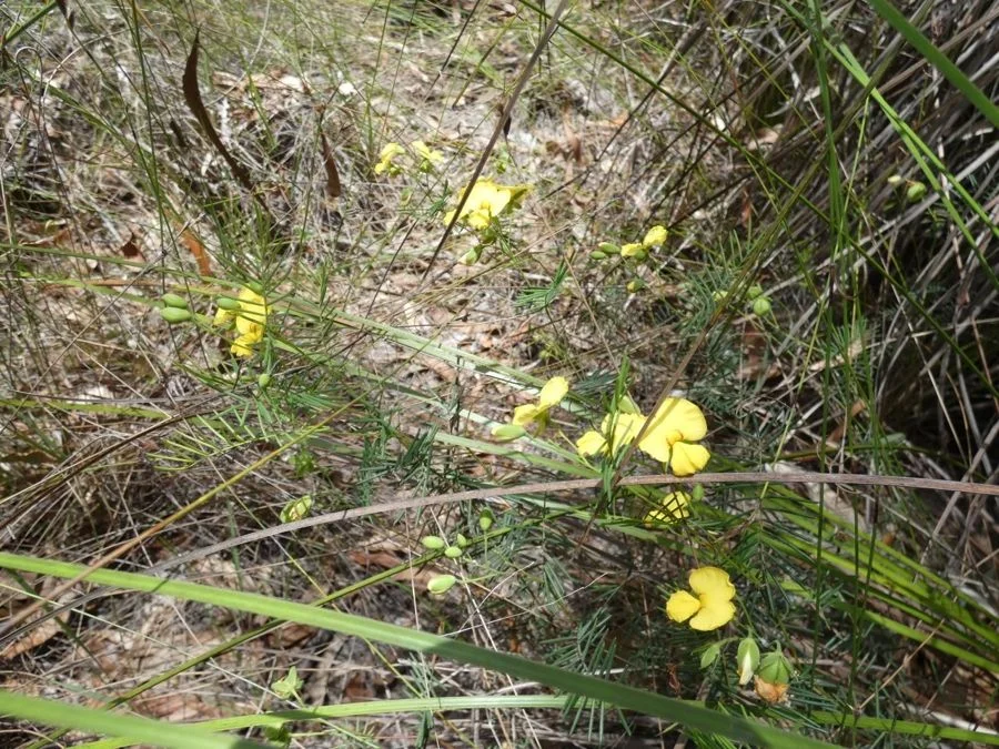 Additional image 11 of 668 Matchbox Road, Deepwater QLD 4674