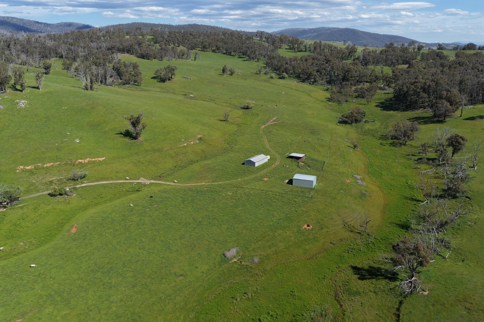 Additional image 7 of 954 Courabyra Road, Tumbarumba NSW 2653