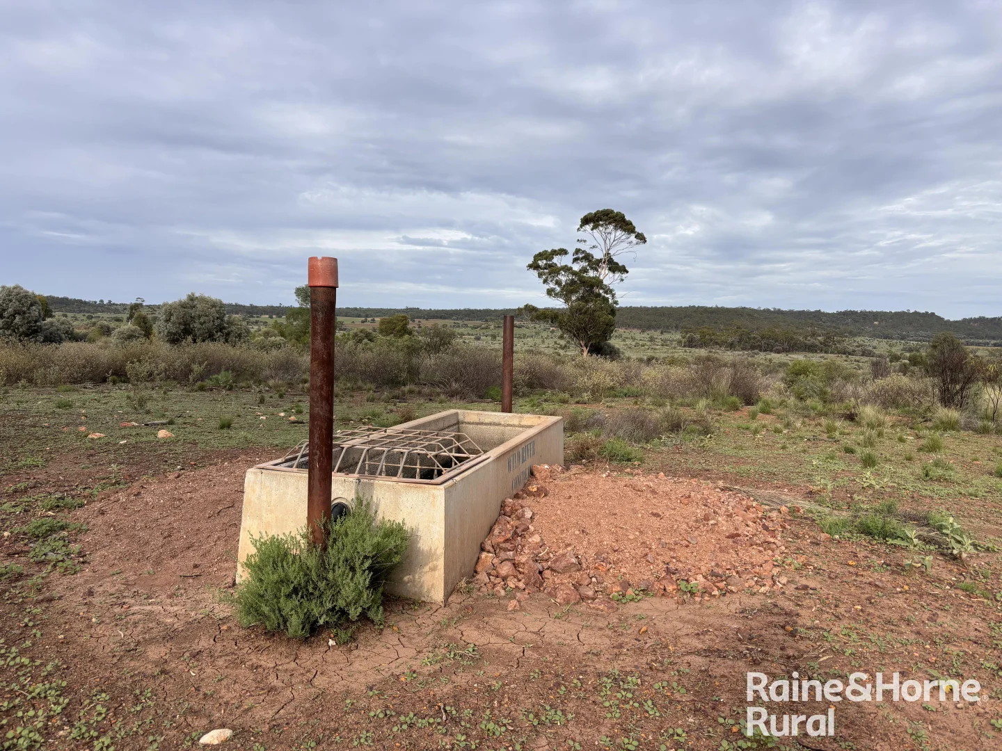 Additional image 8 of 1148 Nalpa Downs Road, Mitchell QLD 4465