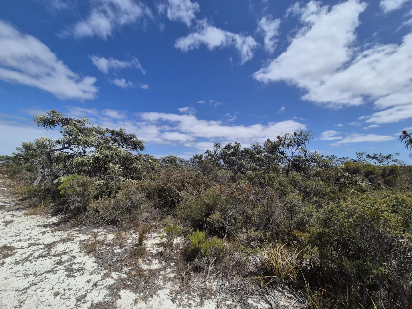 Additional image 20 of 344 Dotterel Drive, Hopetoun WA 6348