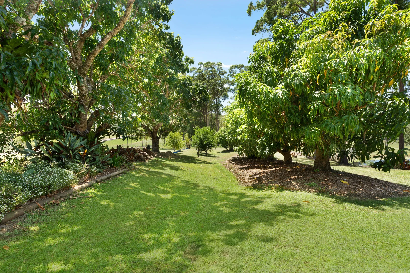 Additional image 23 of 887 Cooloolabin Road, Cooloolabin QLD 4560