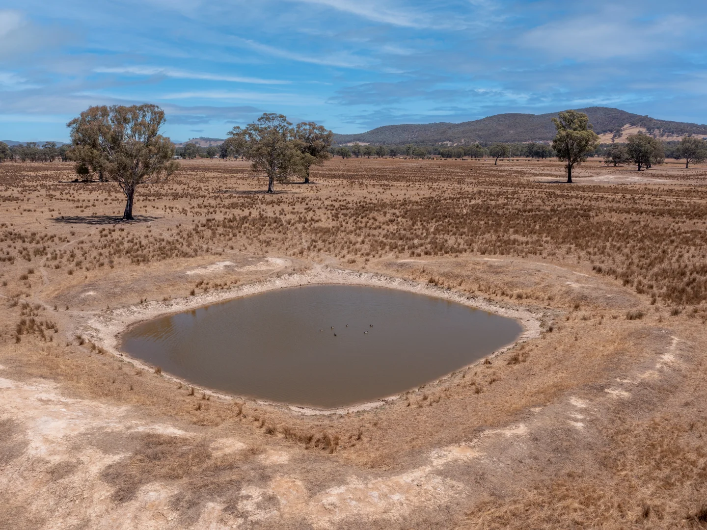 Additional image 4 of Lot 2 Laceby-Glenrowan Road, Laceby VIC 3678