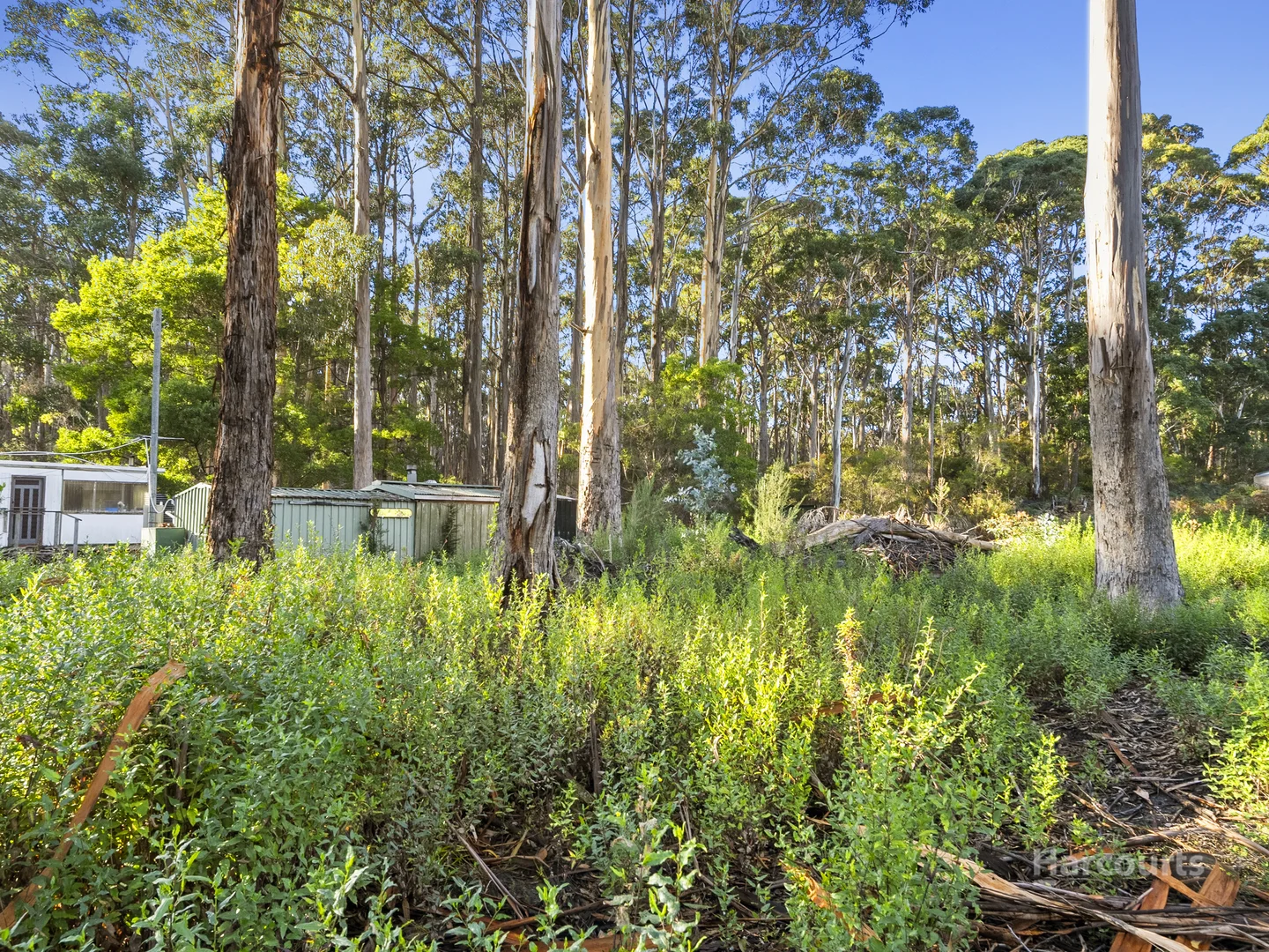 Additional image 9 of 334 Blowhole Road, Eaglehawk Neck TAS 7179