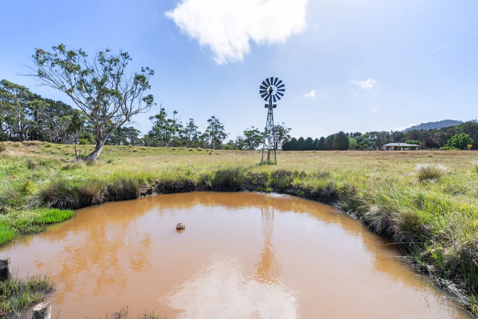 Additional image 20 of 12 Cooma Road, Braidwood NSW 2622