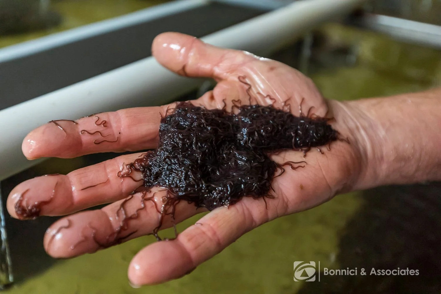 Additional image 5 of 121 Stanley Road, Beechworth VIC 3747