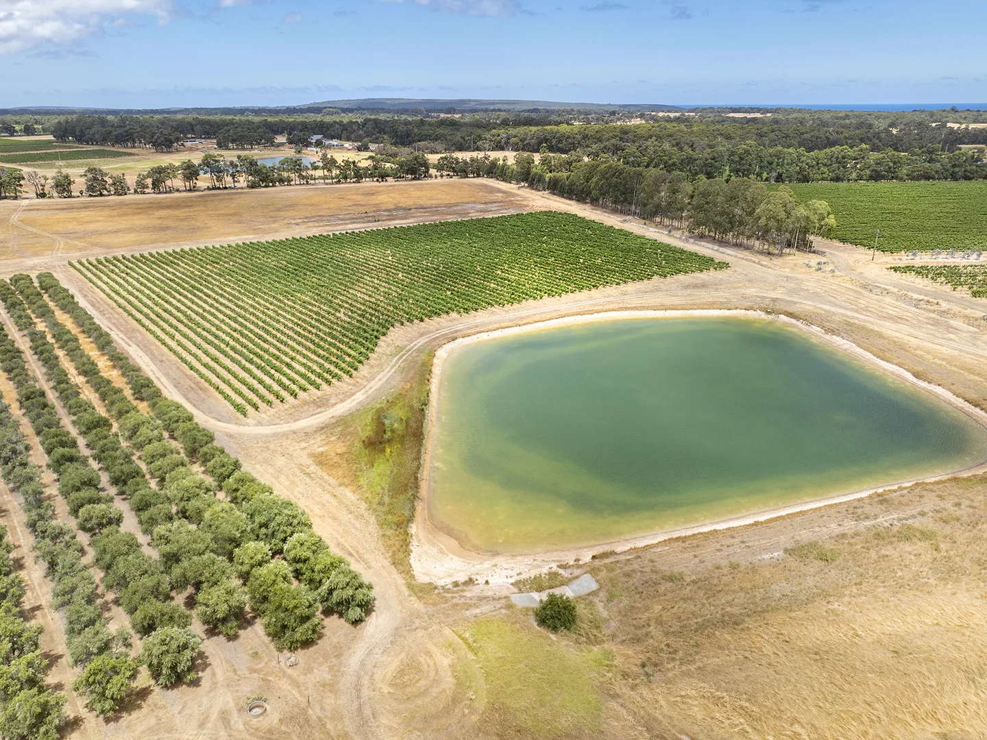 Additional image 5 of Lot 502 Clews Road, Cowaramup WA 6284