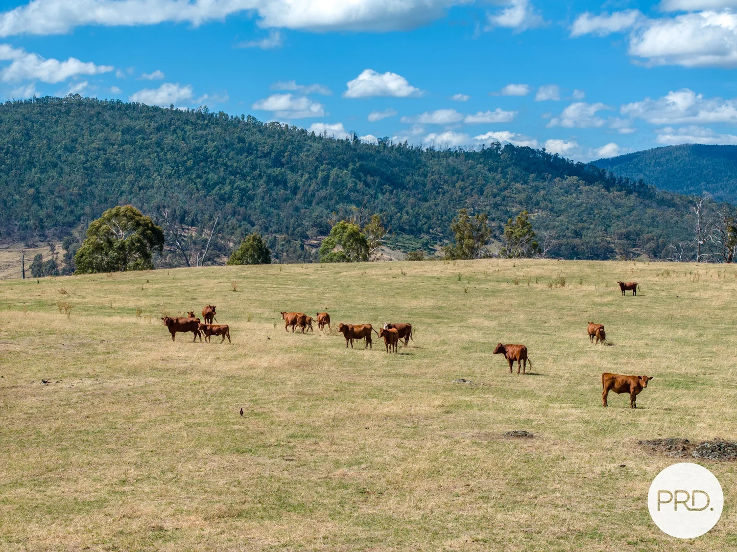 Additional image 27 of 1100 Batlow Road, Tumbarumba NSW 2653