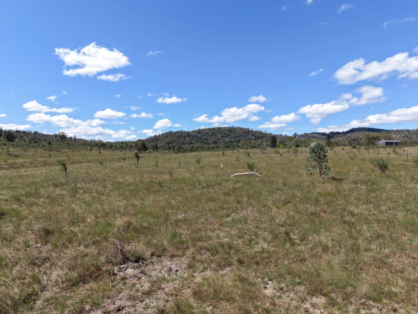 Additional image 2 of 62 Tarban Road, Tenterfield NSW 2372