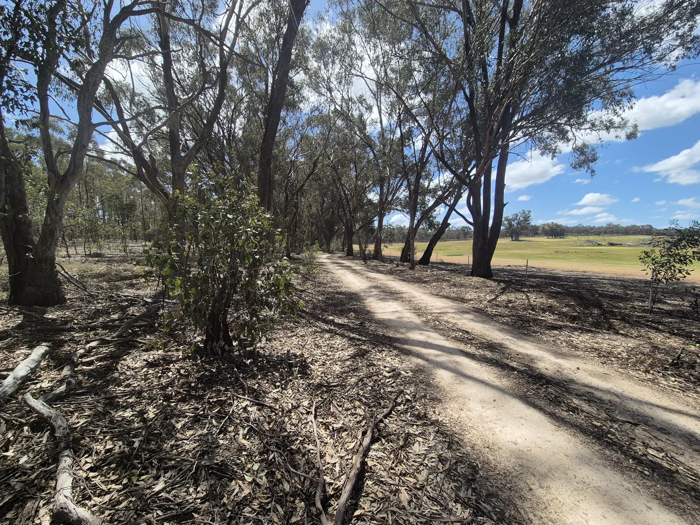 Additional image 11 of Lot 3 Gellibrand Tonks Road, Earlston VIC 3669