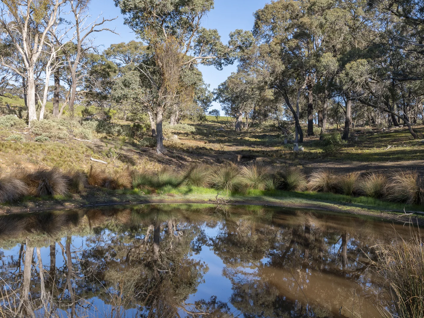 Additional image 8 of Lot 1\TP340748 Ironbark Road, Maddingley VIC 3340