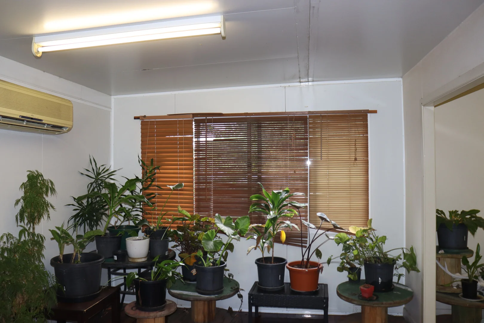 Additional image 7 of 4 Jenkins Place, Collinsville QLD 4804