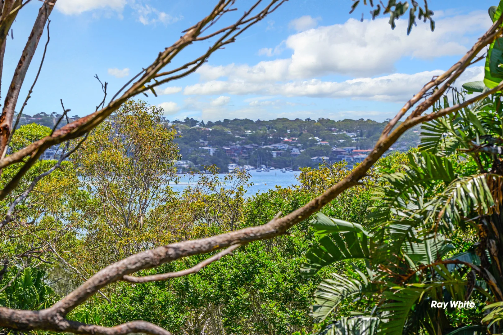 24 Woodfield Avenue, Bundeena NSW 2230