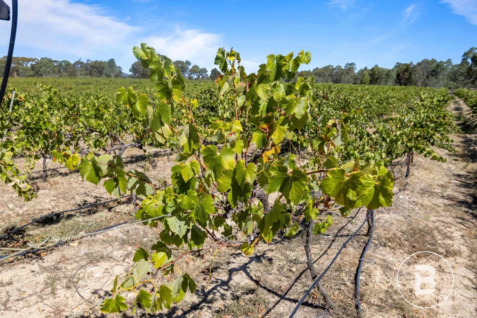 Additional image 29 of 2444 Ararat - St Arnaud Road, Landsborough VIC 3384