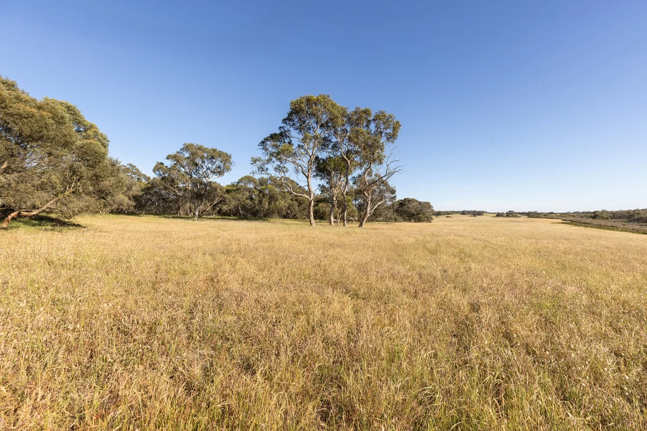 Additional image 25 of 1112 Minnie Crowe Road, Avenue Range SA 5273