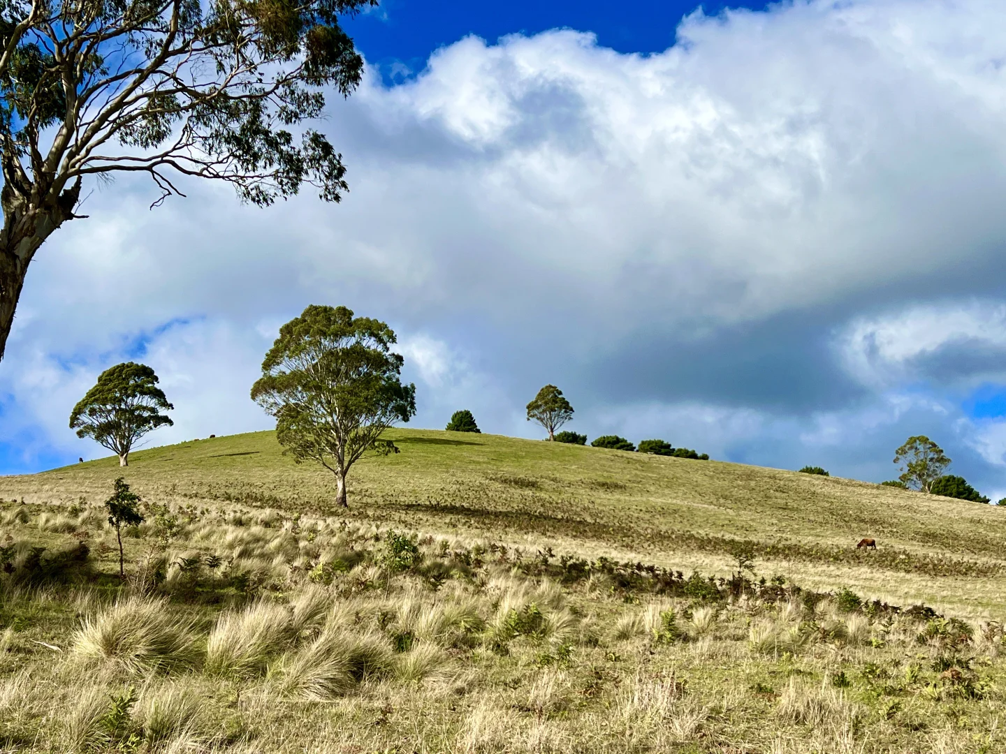 Additional image 19 of Red Gap Road/Fagans Lane, Goldie VIC 3435